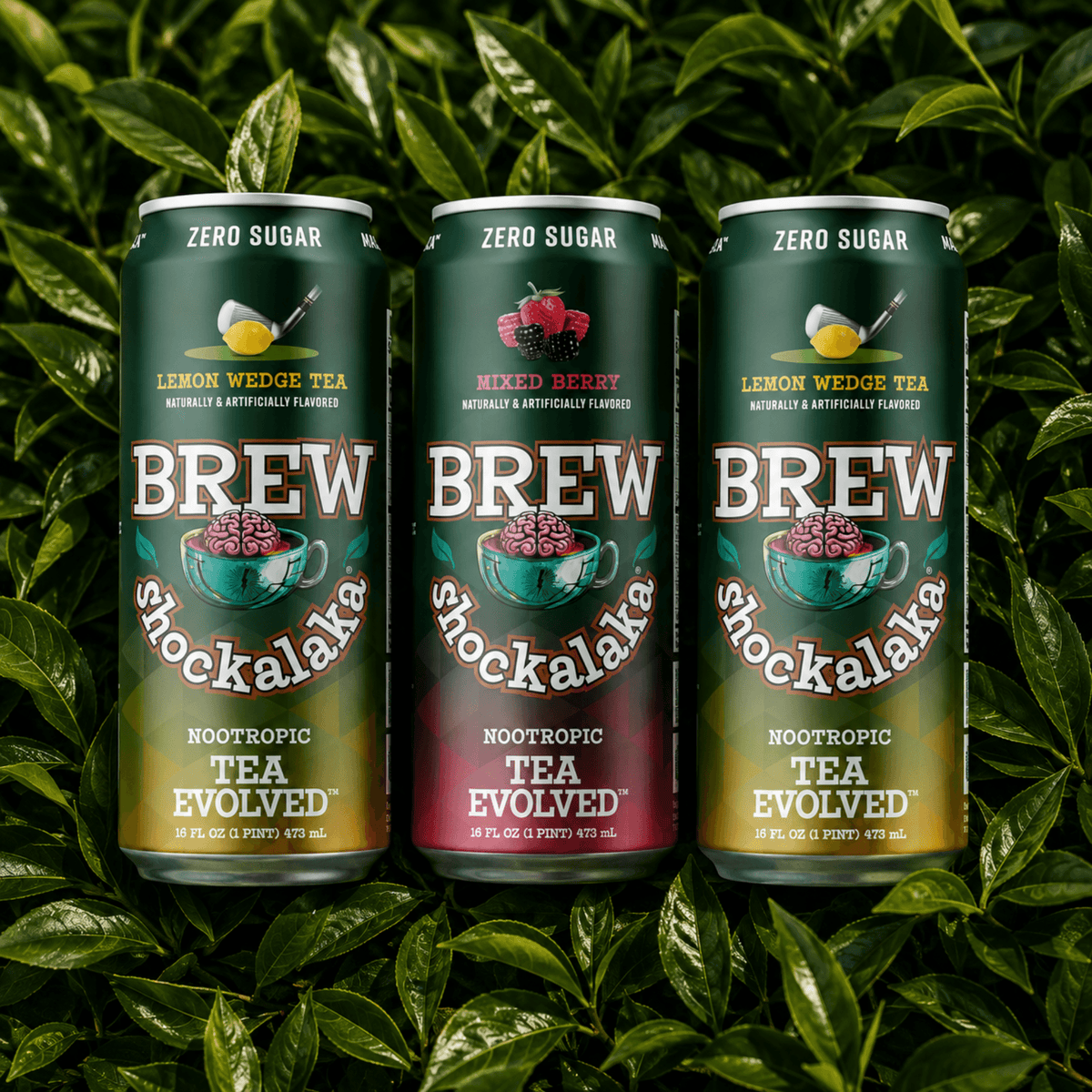 Brew Shockalaka Nootropic Tea
