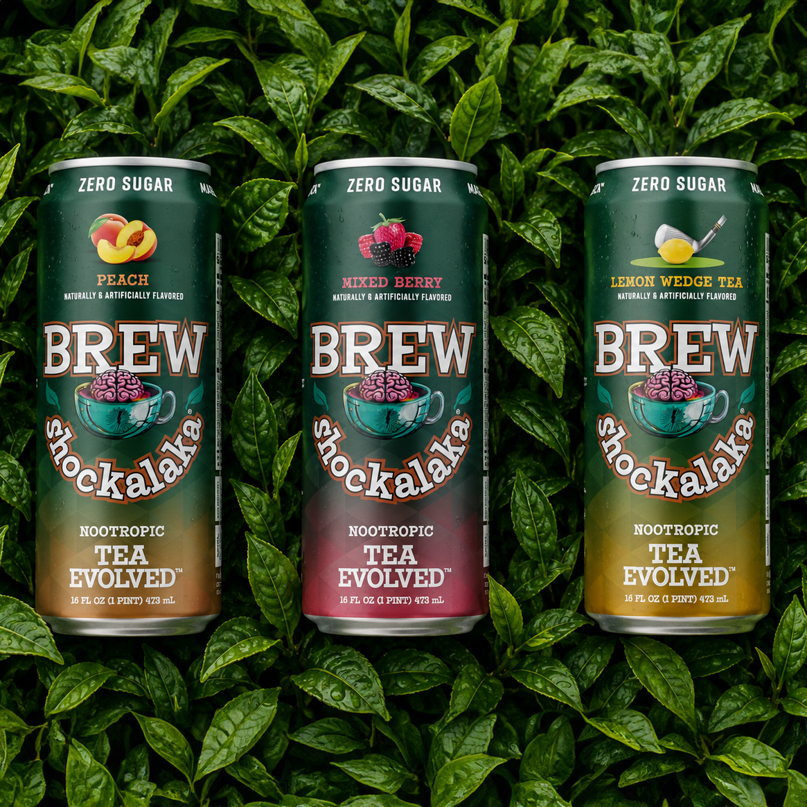 Brew Shockalaka Nootropic Tea (COMING SOON)